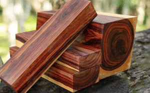 kiln drying tropical hardwood
